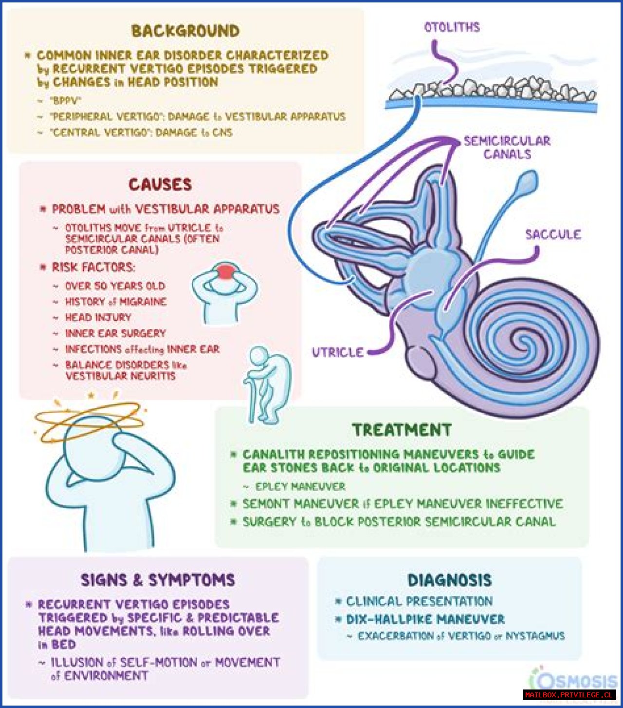 Does Flying Cause Vertigo? Uncovering The Link