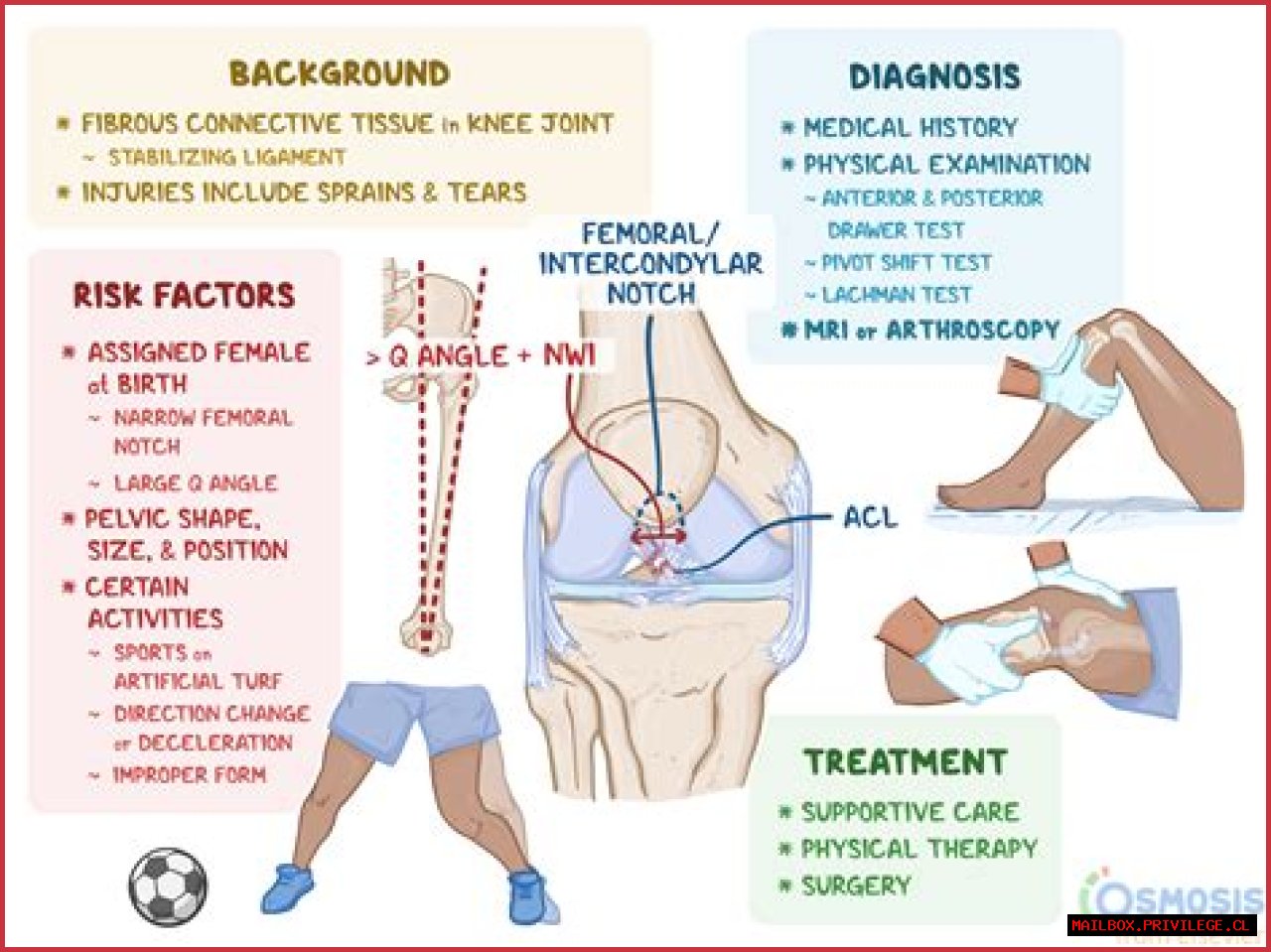 Understanding Fluid Buildup In The Knee: Causes, Symptoms, And Treatment Options